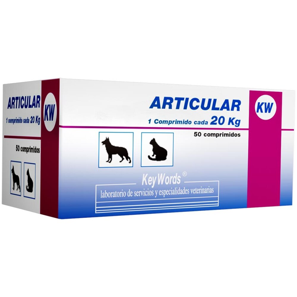 ARTICULAR