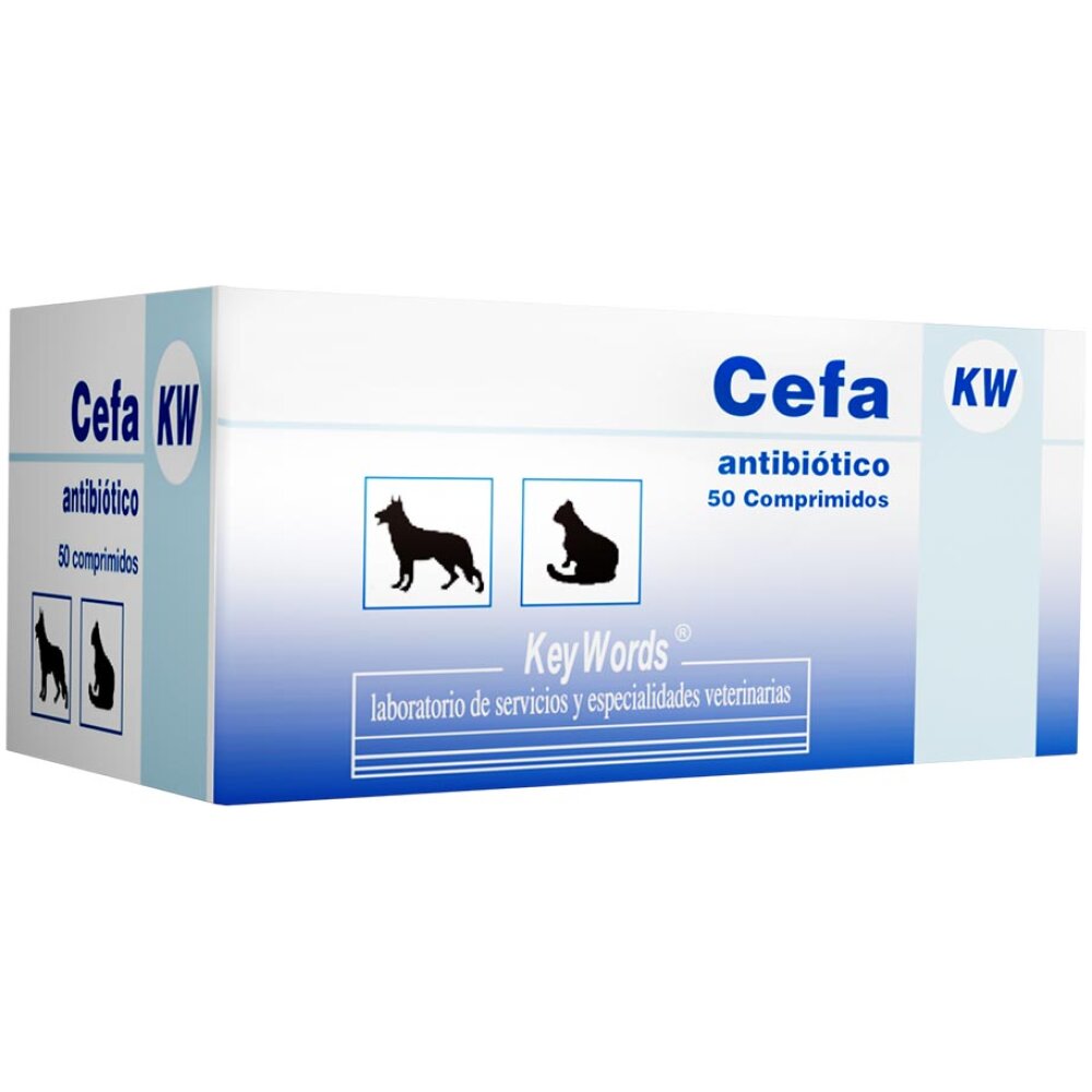 CEFA KW