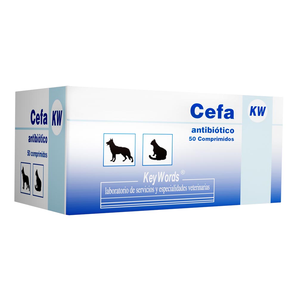 CEFA KW