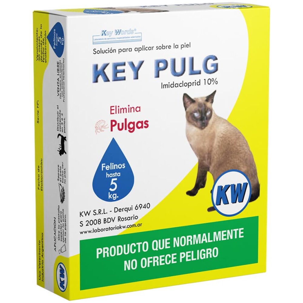 KEY PULG