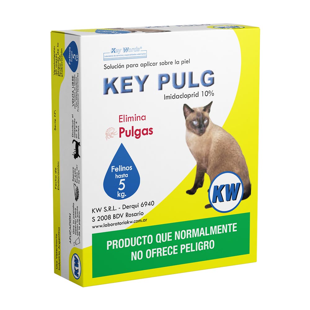 KEY PULG